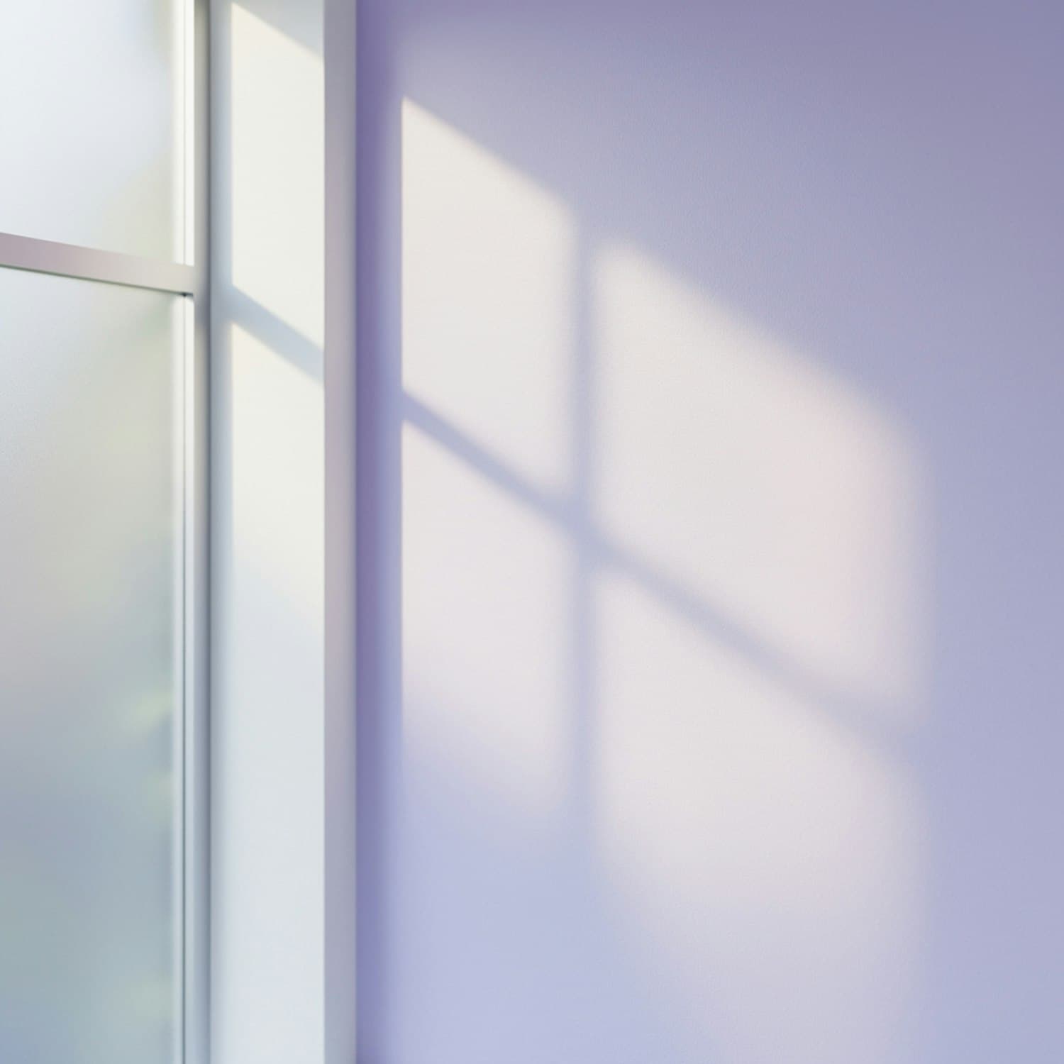 Soft daylight falling across a plain painted wall